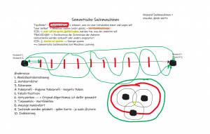 2022-05-Whiteboard-Advanced-Semantik