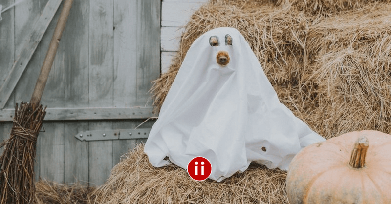5 Tipps gegen den Ghosting-Supergau - Job No-Shows zum Arbeitsanfang 3