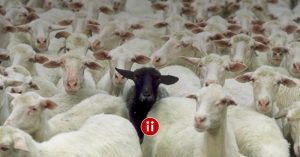 Die 6 zentralen Ursachen, warum Recruiter Sourcer (un-)bewußt torpedieren