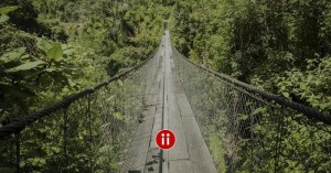 Fangfrage - Wie lange ist der ideale String