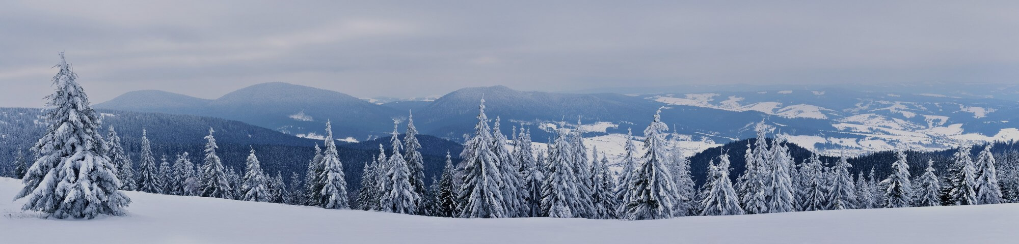 Jahreswechsel - HEADER