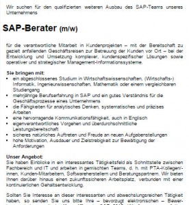 SAP-Berater Beispiel - Tech-Talente - Intercessio Blog