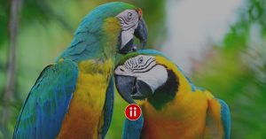 So steigern Sie die Antwortsrate - die 20 Punkte des Kandidaten Flirt Knigge