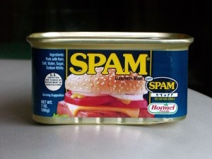 Spam-Stellenanzeigen-lügen-oft-300x225